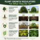 Plant-Growth-Regulators