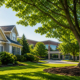 Proactive-Tree-Care-HOA